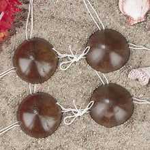 Load image into Gallery viewer, Hawaiian