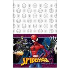 Load image into Gallery viewer, Spiderman