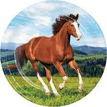 Load image into Gallery viewer, Horse and Pony