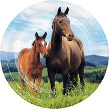 Load image into Gallery viewer, Horse and Pony