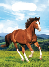 Load image into Gallery viewer, Horse and Pony