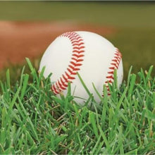 Load image into Gallery viewer, Baseball