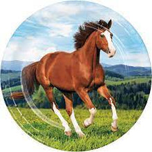 Load image into Gallery viewer, Horse and Pony
